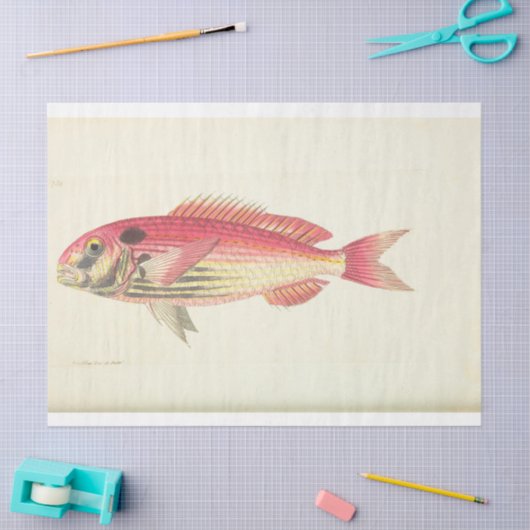 ピンク航海のの魚のエフエマデコペヴィンテージ 薄葉紙 (クラフト)