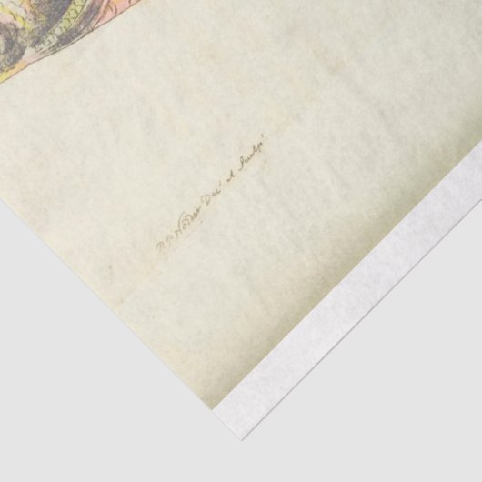 ピンク航海のの魚のエフエマデコペヴィンテージ 薄葉紙 (詳細)