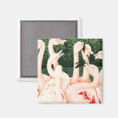 ピンク色で – フラミンゴ マグネット (正面/裏面)