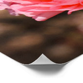 ピンク色にポッピング ポスター (角)