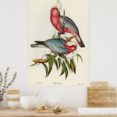 ピンク色に焼けたカカトゥア ポスター (キッチン)