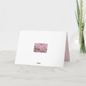 ピンク色のさくらんぼの泡が桜の木々の上に咲く カード (裏面)