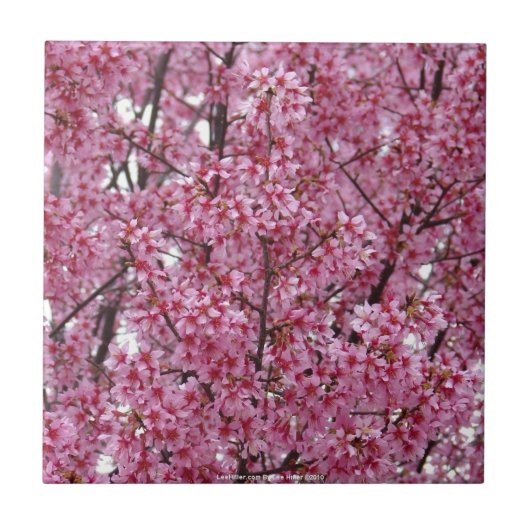 ピンク色のさくらんぼ花タイル タイル (正面)