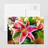 ピンク色のオオアザミ葉書 ポストカード (正面/裏面)