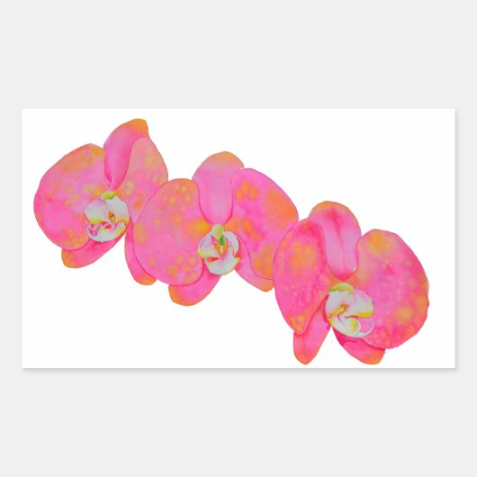 ピンク色のオーキッド絵画ズ 長方形シール (正面)
