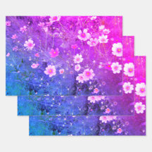 ピンク色のコスモスのビピネタスフラワーインフル開花