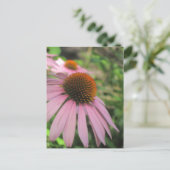 ピンク色のコンフロアーポストカード ポストカード (スタンド正面)