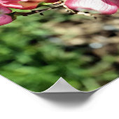 ピンク色のドッグウッドの花が咲き乱れる ポスター (角)