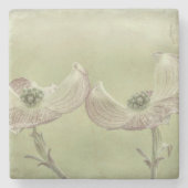 ピンク色のハナミズキの花々のクローズアップ | WA，シーベック ストーンコースター (正面)