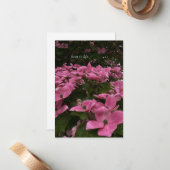 ピンク色のハナミズキの花 ノートカード (正面/裏面インサイチュ)