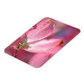 ピンク色のハナミズキの花 マグネット (左側)