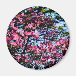 ピンク色のハナミズキ マグネット