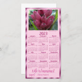 ピンク色のバナナ シーズンカード (正面/裏面)