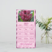 ピンク色のバナナ シーズンカード (スタンド正面)