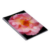 ピンク色のバラと露が黒い背景 ノートブック (右側)