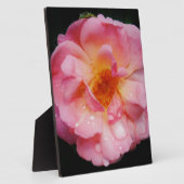 ピンク色のバラと露が黒い背景 フォトプラーク (側面)