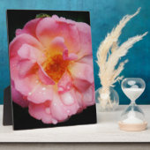 ピンク色のバラと露が黒い背景 フォトプラーク (側面)