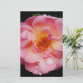 ピンク色のバラと露が黒い背景 便箋 (スタンド正面)