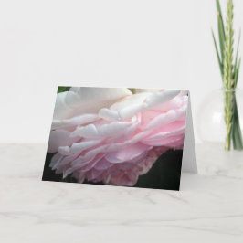 ピンク色のバラの花のグリーティングまたはノートカード カード