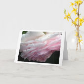 ピンク色のバラの花のグリーティングまたはノートカード カード (黄色い花)
