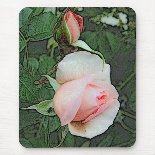 ピンク色のバラの花 マウスパッド (正面)