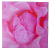 ピンク色のバラ タイル (正面)