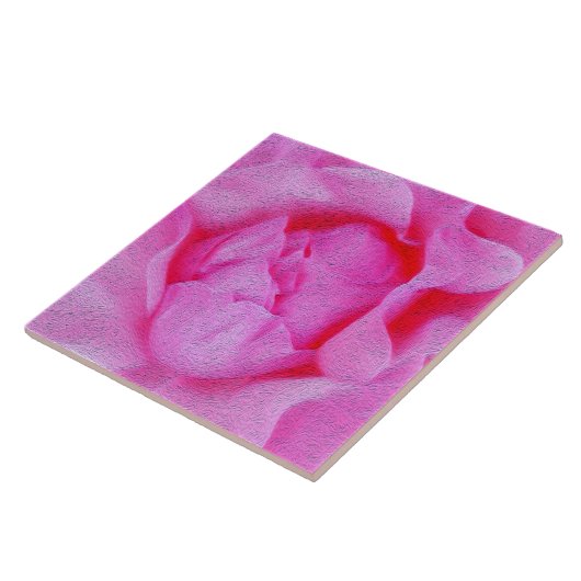ピンク色のバラ タイル (側面)