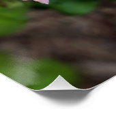 ピンク色のバラ ポスター (コーナー)