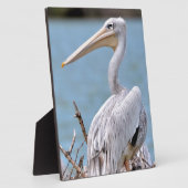 ピンク色のペリカン フォトプラーク (側面)