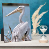 ピンク色のペリカン フォトプラーク (側面)