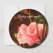 ピンク色のローズハンガリーの母の日 (正面)