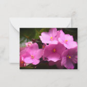 ピンク色のヴィオレットAfricaine Saintpauliaの花 ノートカード (正面)