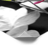 ピンク色の出血ハート花の部分色 ポスター (角)