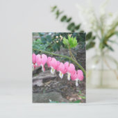 ピンク色の出血ハート葉書 ポストカード (スタンド正面)