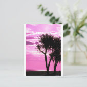 ピンク色の夕日 ポストカード (スタンド正面)