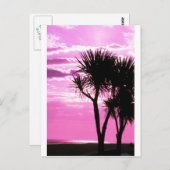 ピンク色の夕日 ポストカード (正面/裏面)