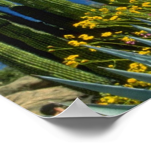 ピンク色の多くの植物、ソノラン砂漠、アリゾナの花 ポスター (角)