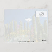 ピンク色の多くの植物、ソノラン砂漠、アリゾナの花 ポストカード (裏面)