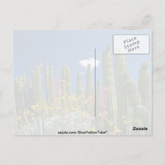 ピンク色の多くの植物、ソノラン砂漠、アリゾナの花 ポストカード (裏面)