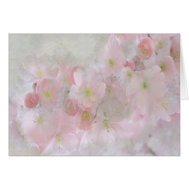 ピンク色の夢 (正面横)