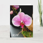 ピンク色の斑点、ノートカードを持つ白い蘭 サンキューカード (正面)