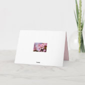 ピンク色の桜の花の束 カード (裏面)