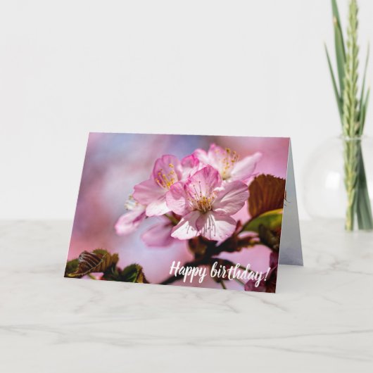 ピンク色の桜の花の束 カード (正面)