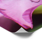 ピンク色の熱帯花 ポスター (角)