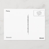 ピンク色の牡丹の写真 ポストカード (裏面)