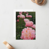 ピンク色の牡丹の美しい列 ノートカード (正面/裏面インサイチュ)