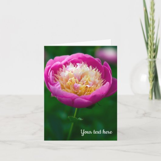 ピンク色の牡丹グリーティングカード サンキューカード (正面)