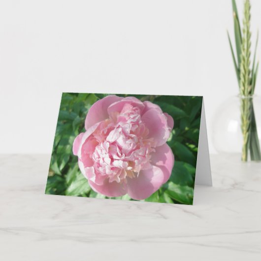 ピンク色の牡丹ノートカード シーズンカード (正面)