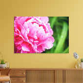 ピンク色の牡丹 キャンバスプリント (インサイチュ (リビング))