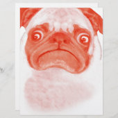 ピンク色の珊瑚色の不機嫌なパギー (正面/裏面)